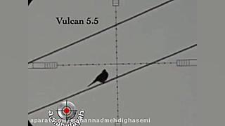 شکار با تفنگ بادی