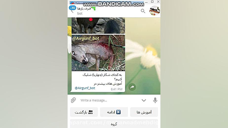 شکار با تفنگ بادی