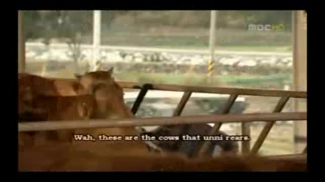 سریال همسر یا دردسر 33