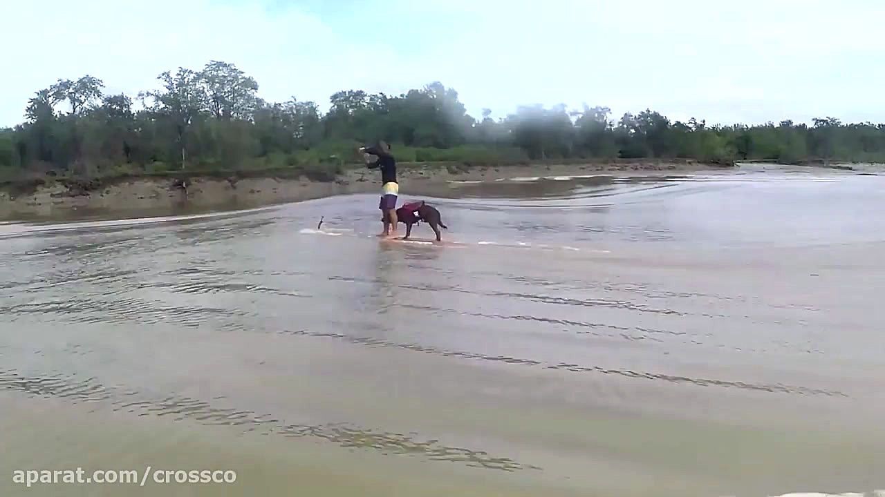 طولانی ترین موج سواری ایستاده...