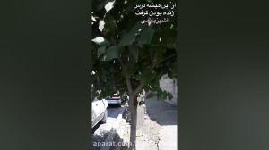 این فیلم ١٨ ثانیه هست اما هزار...