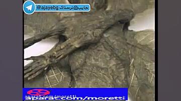 فیلم آدم کوتوله بالدار صد درصد...