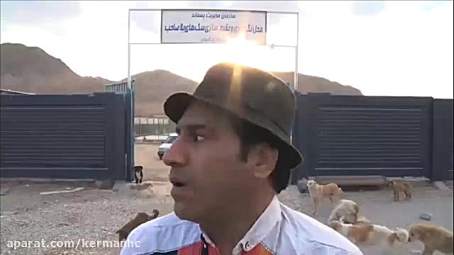 داش بهداش قسمت دوم  سگهای بی ص...