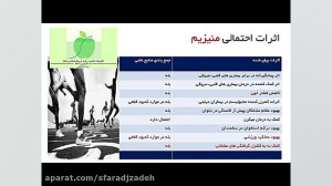 جایگاه منیزیم در تغذیه ورزشی