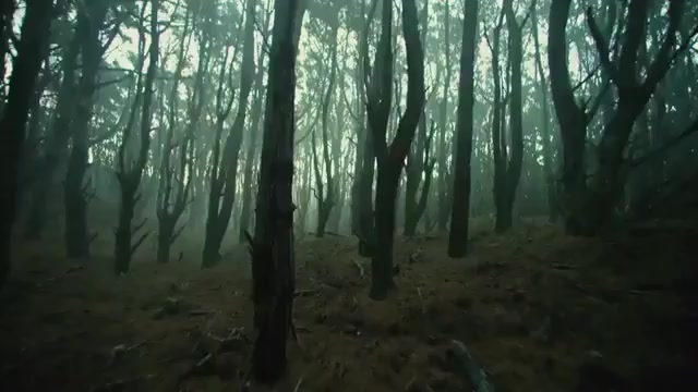 فیلم شیطان مرده (کلبه وحشت)Evi...