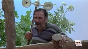 عاشقانه  آواز گنجشک ها