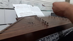 سنتور اسمر یارم جوانه