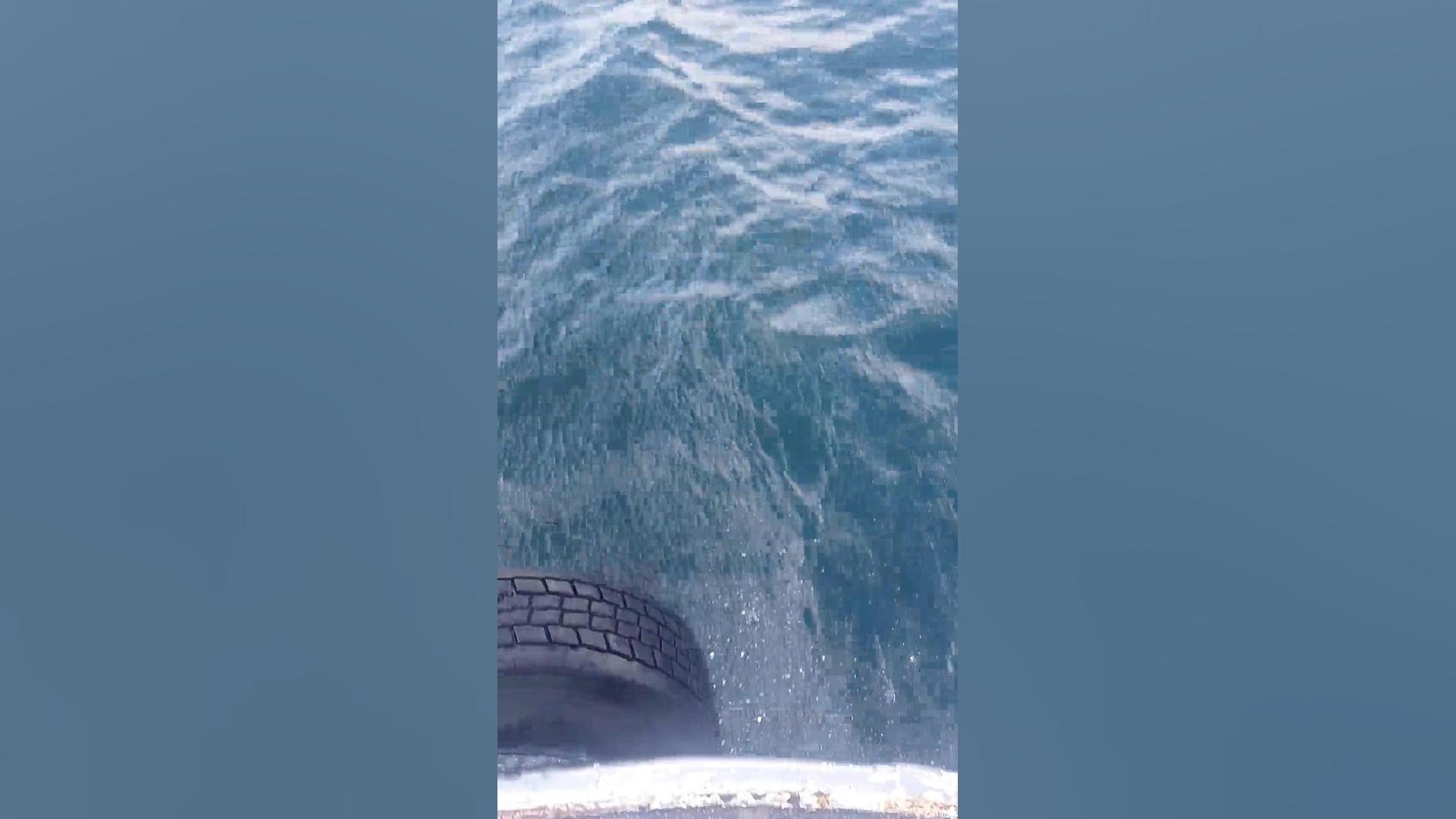 دریای سیاه ترکیه استانبول