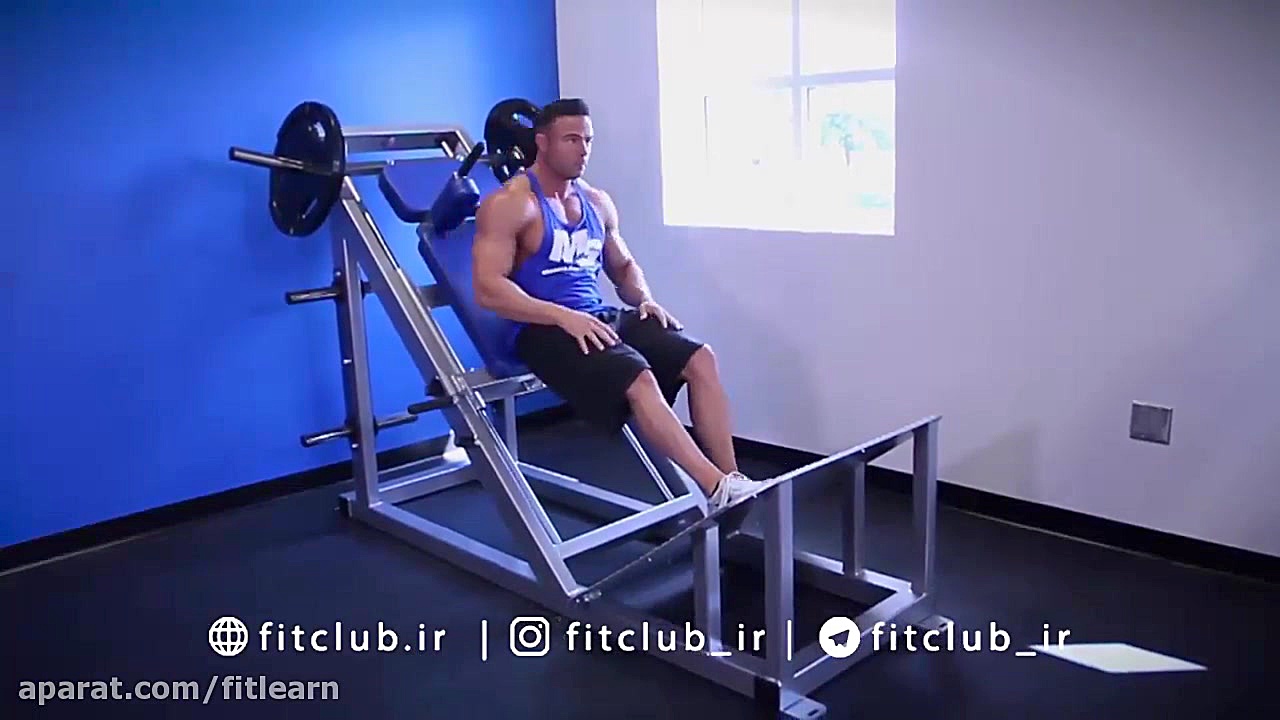 هاگ پا  پا جمع