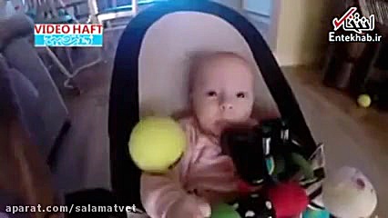 تلاش سگ برای دوستی با نوزاد