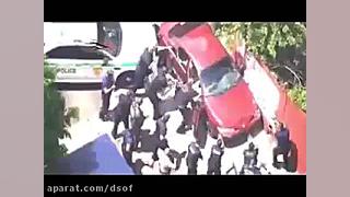 زندانی فراری که عاقبت با سگ ها...