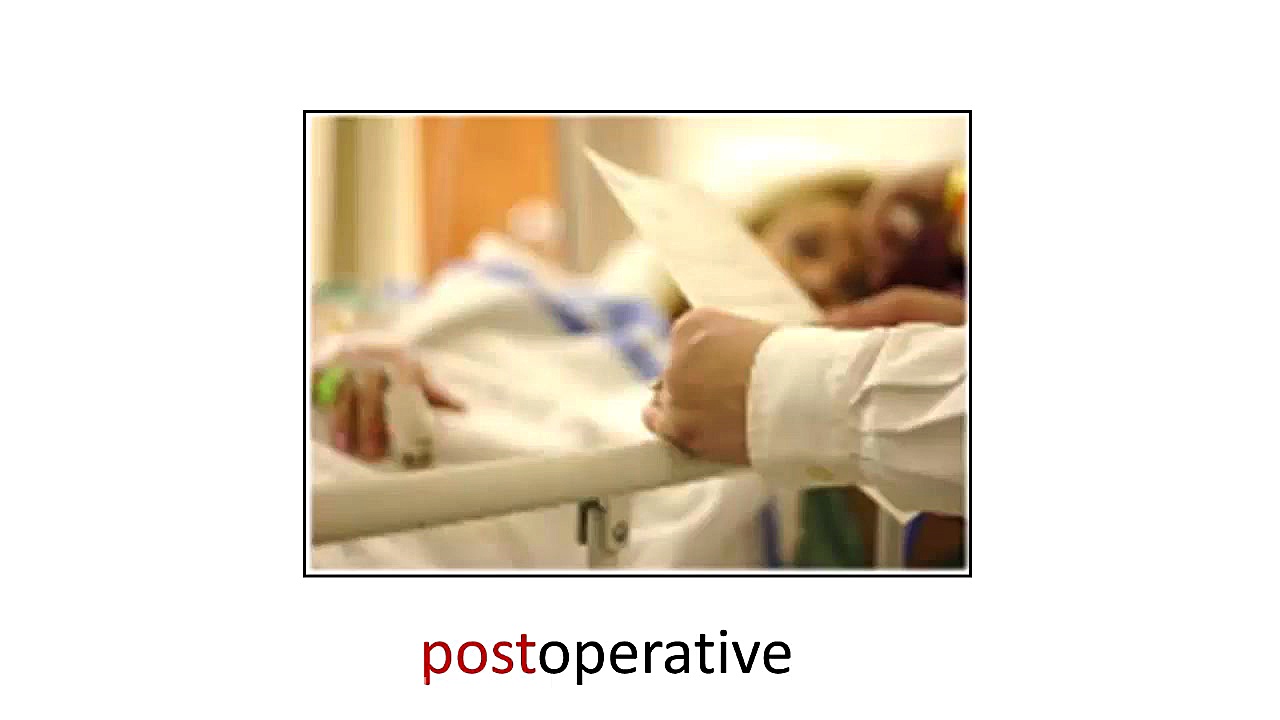 ریشه ها، پسوند ها، و پیشوند ها...