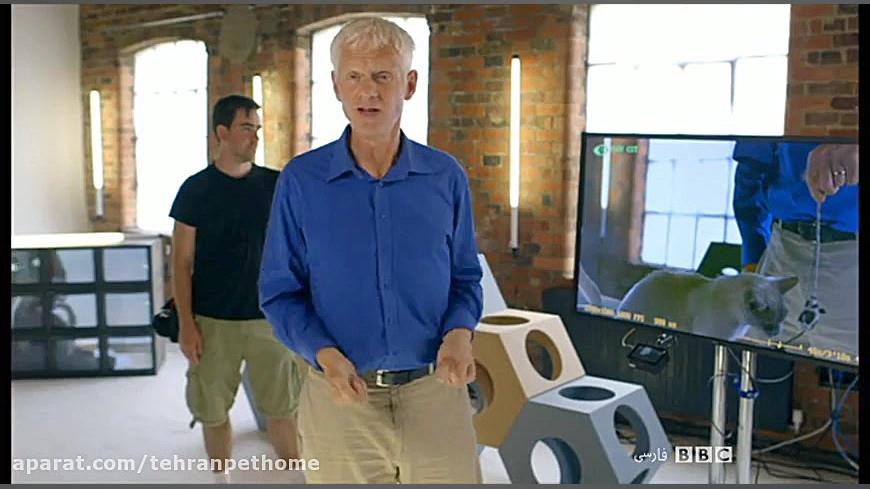 دنیای شگفت انگیز گربه ها  قسمت...