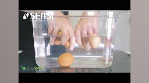ترفندهای کاربردی اشپزی  تخم مر...
