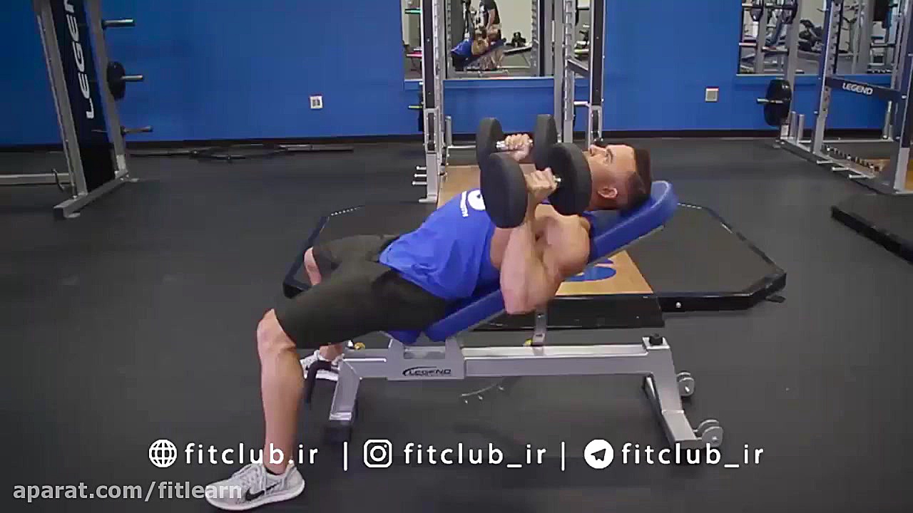 بالا سینه دمبل دست موازی