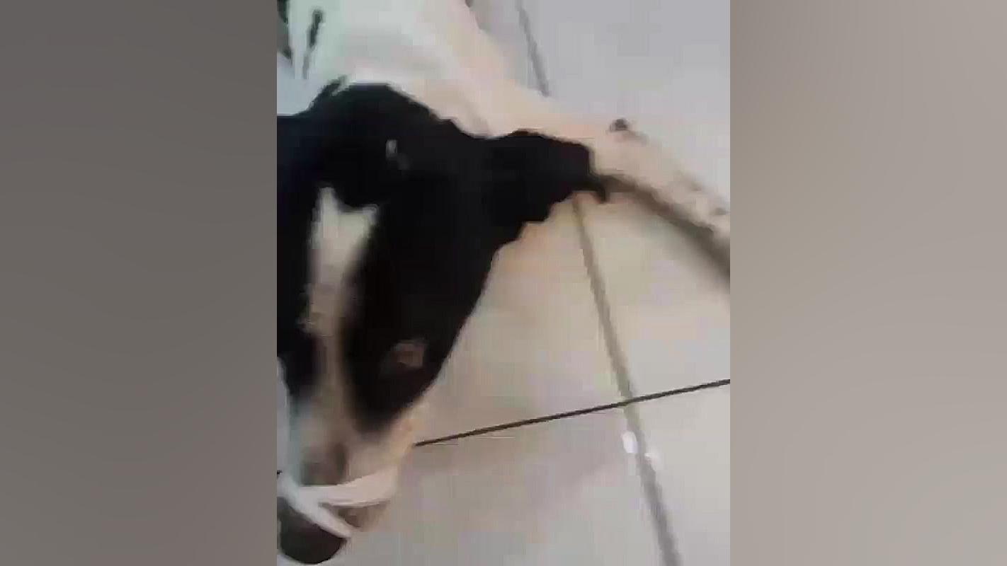 بازهم جنایت شهرداری اهواز