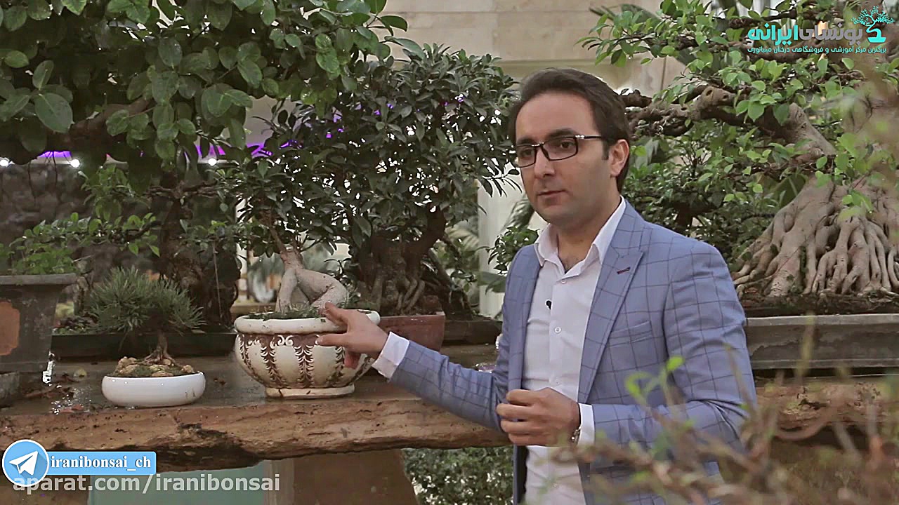 مقدمه ای درباره بن سای و نگهدا...