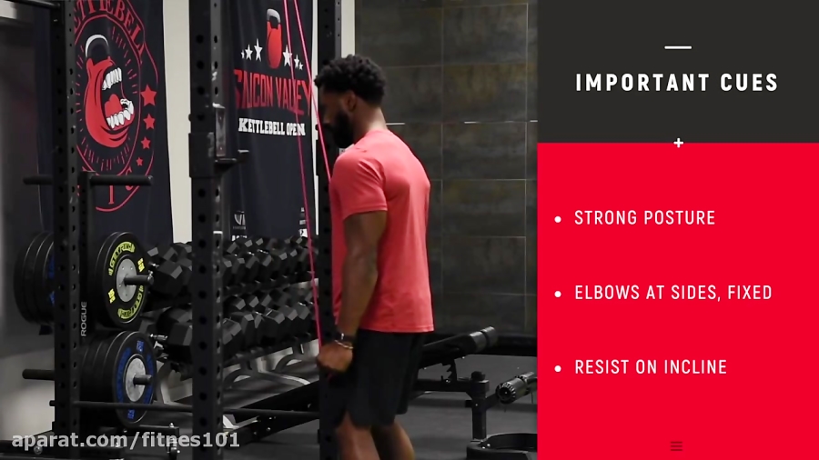 MAPS ANABOLIC Program Day 2 - 9531589 3755 B 8122