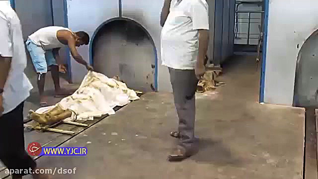 هندی ها چگونه مردگانشان را می...