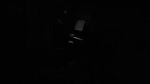 لالا لند (la la land)