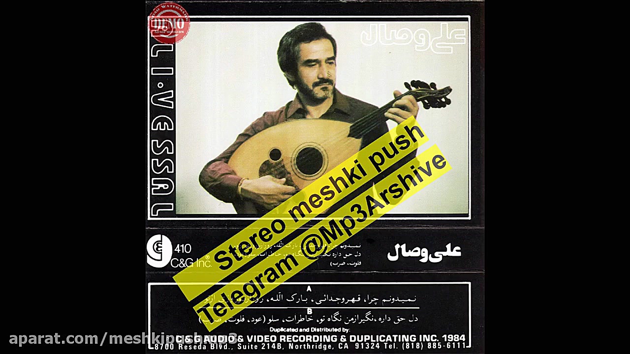 علی وصال خواننده کمیاب فارسی ق...