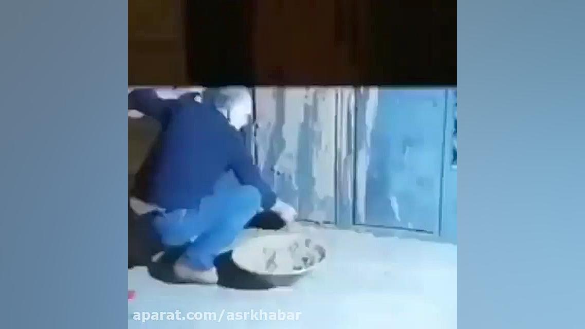 احمد نجفی درِ شورای صنفی نمایش...