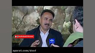 راز خرید و فروش لانه خفاش ها!