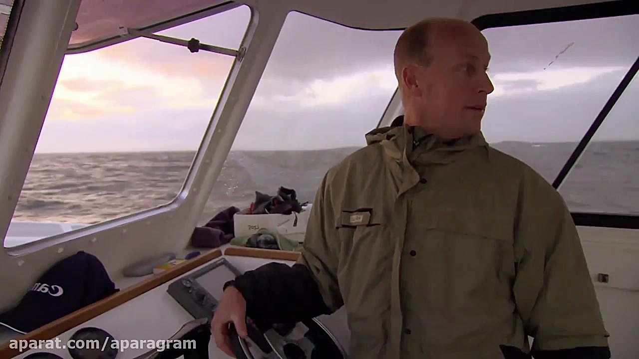 جهش کوسه ماهی بیرون از آب