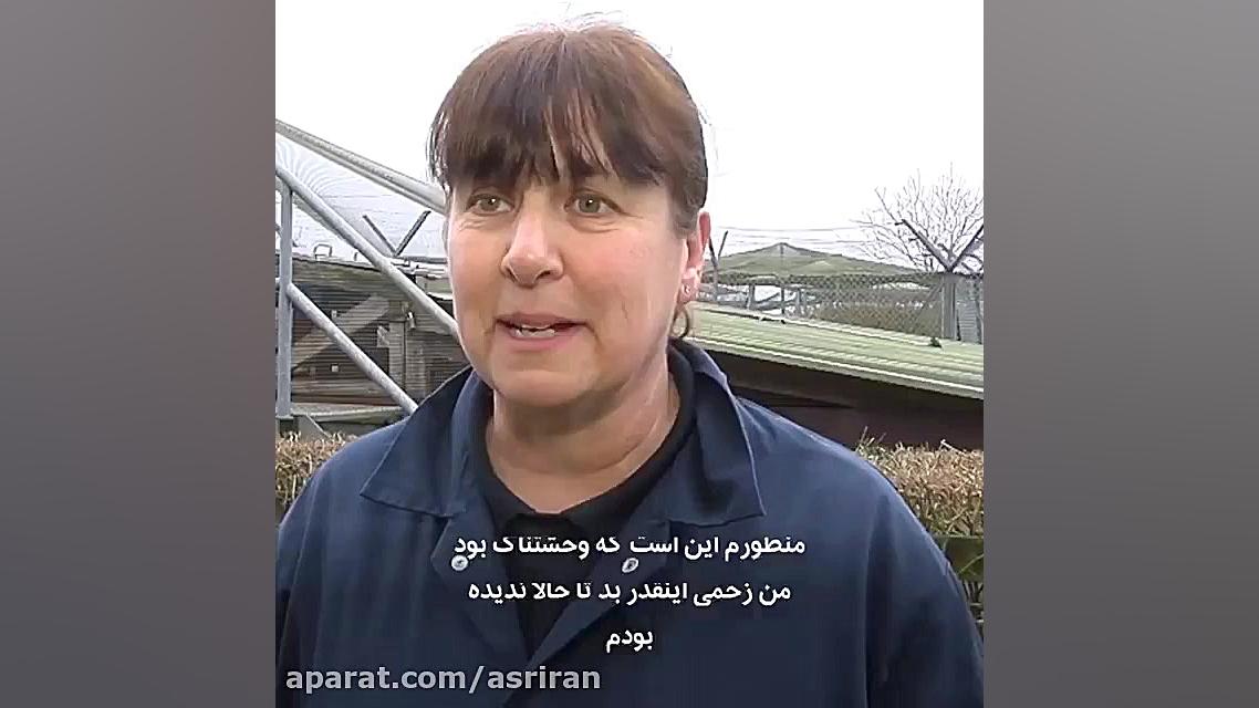 &quot;فریزبی&quot; به خانه برم...