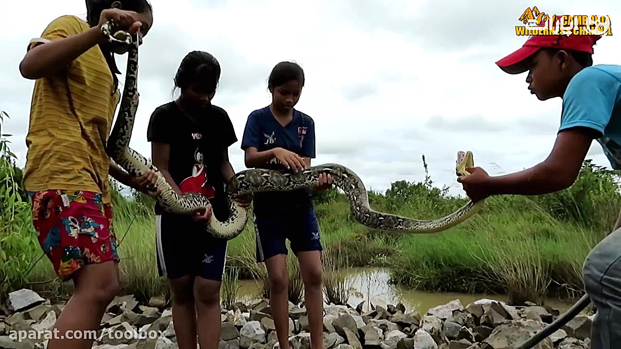 شکار مار پیتون توسط سه خواهر