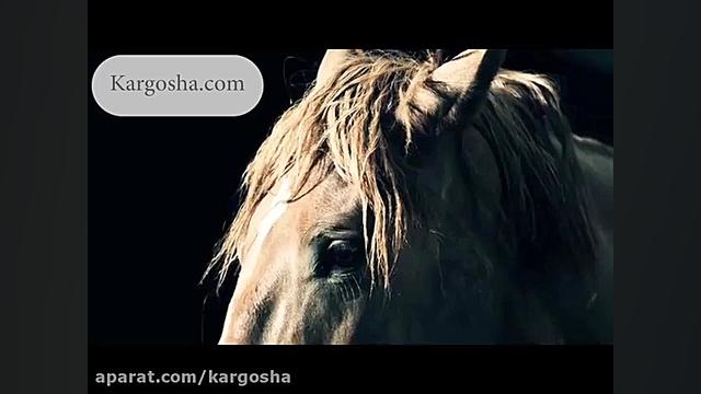 موزه شهر و هنر اوردوس