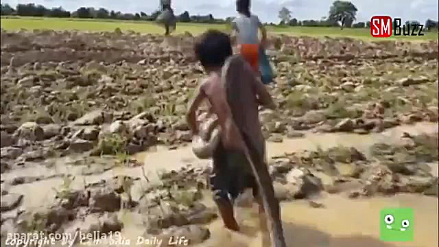 شکار مار غول پیکر توسط کودک هن...