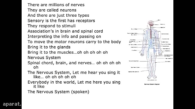 آموزش علوم اعصاب با موسیقی