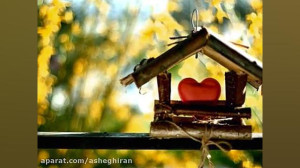 یاد من باشد فردا دم صبح جور دی...