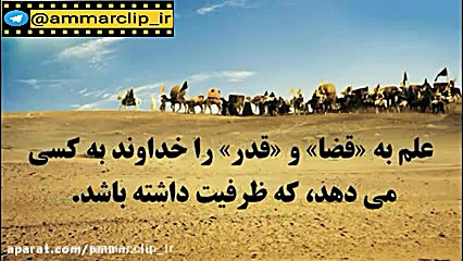 چرا امام با داشتن علم به شهادت...