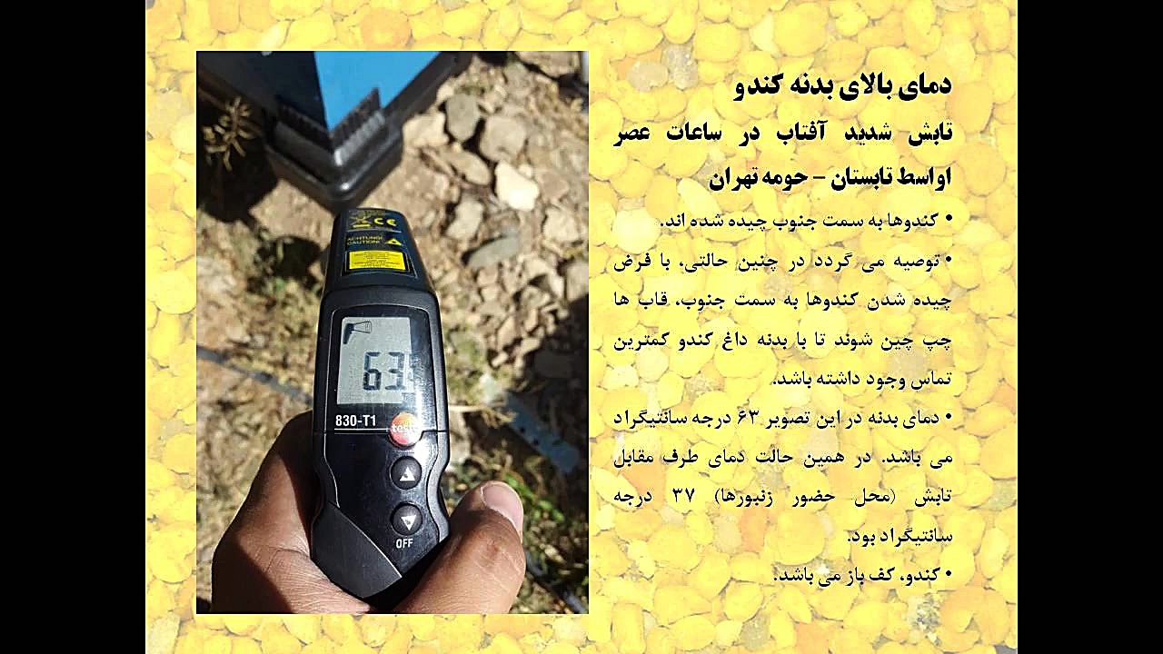 جهت چیدن قاب های کندو